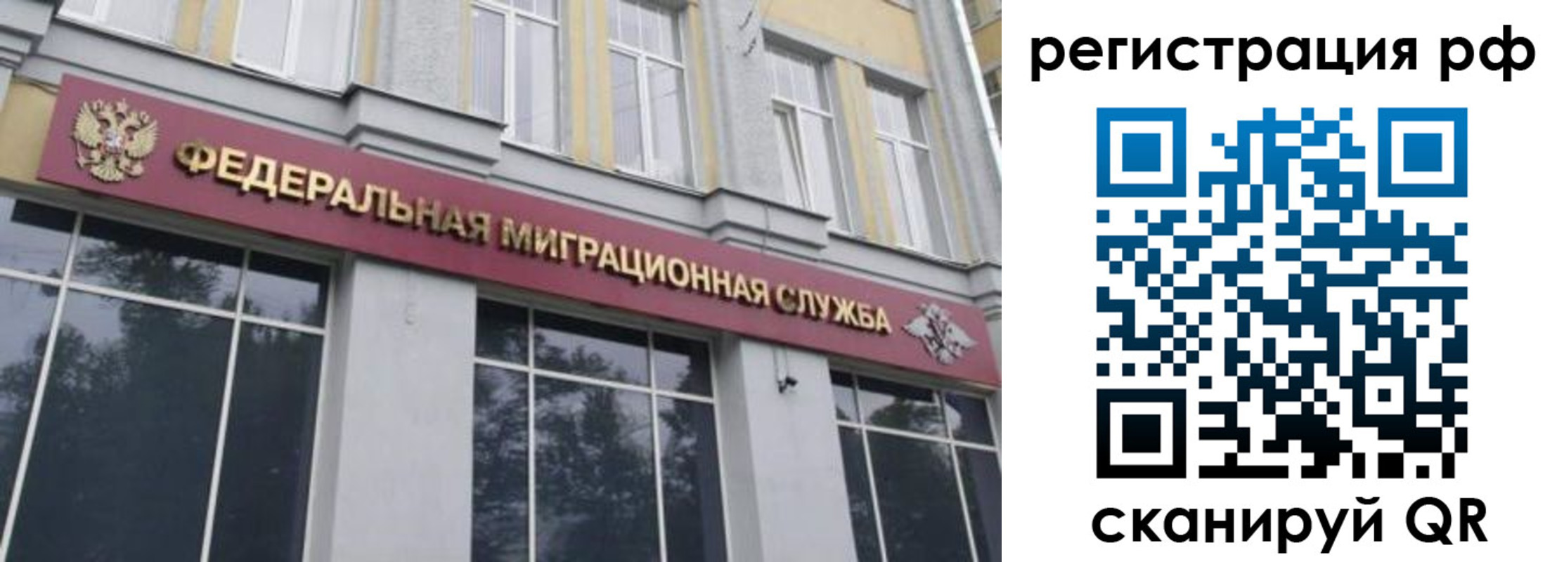 прописка законно в Бакале